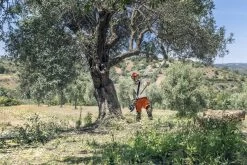 HOCHENTASTER 525 P4S Husqvarna -Gartengeräte Geschäft 23525P4S9673294013h1InLTiScvJHd