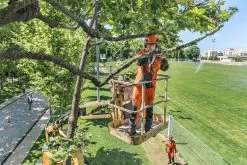 T435 Motorsäge Husqvarna Baumpflege -Gartengeräte Geschäft 23T4353R7pDI1ao53MjL