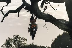 AKKUSÄGE T540iXP 14" öls.HUSQVARNA * 5 AKKUSÄGE T540iXP 14" öls.HUSQVARNA * -Gartengeräte Geschäft 23T540IXP9705723143WAdkrxhwLeXtZ