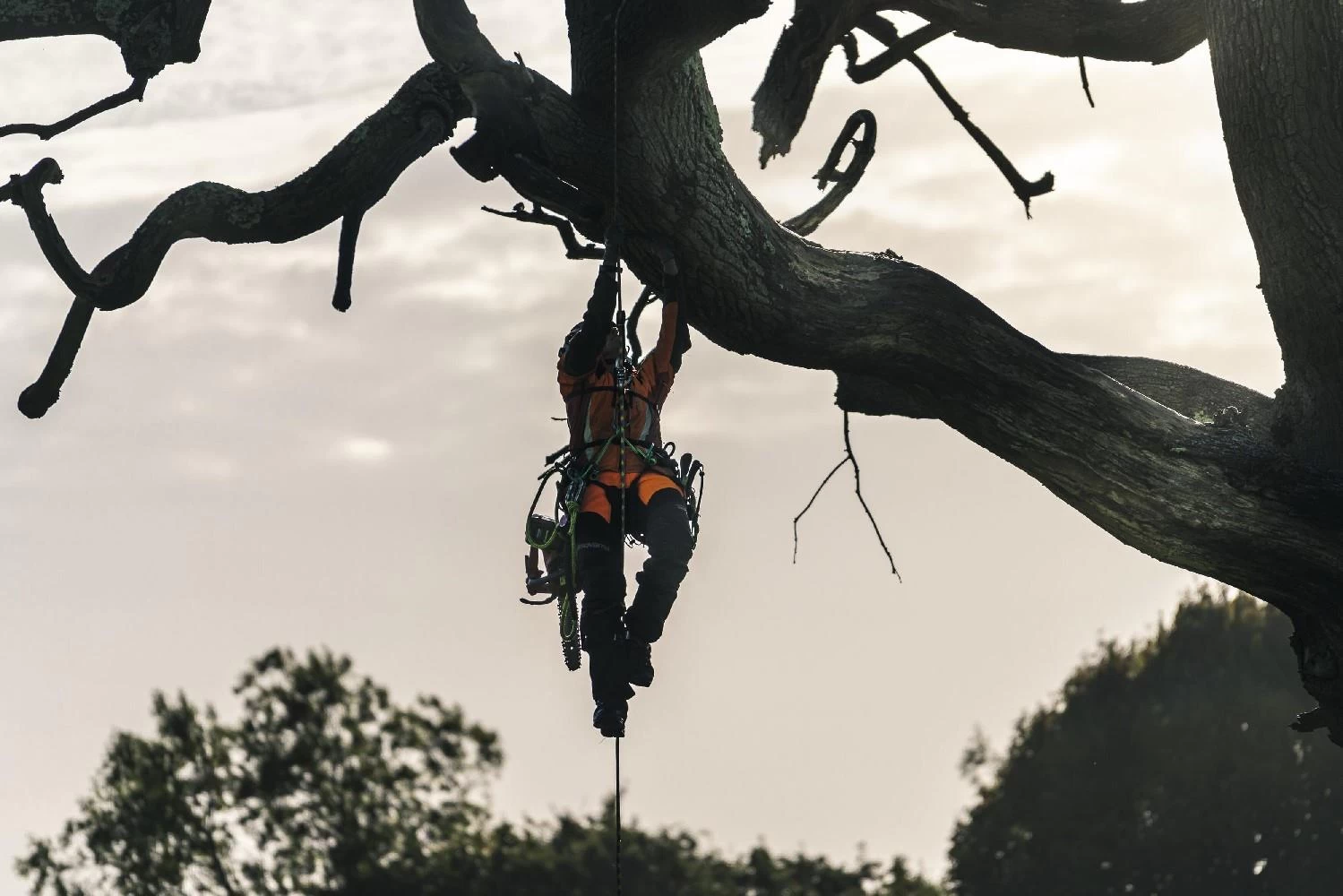 AKKUSÄGE T540iXP 14" öls.HUSQVARNA * 3 AKKUSÄGE T540iXP 14" öls.HUSQVARNA * – Bild 3