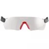 Schutzbrille Protos Integral, Klar
