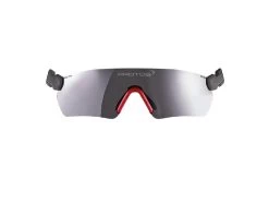Schutzbrille Protos Integral, Grau
